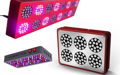Led para el cultivo de Cannabis