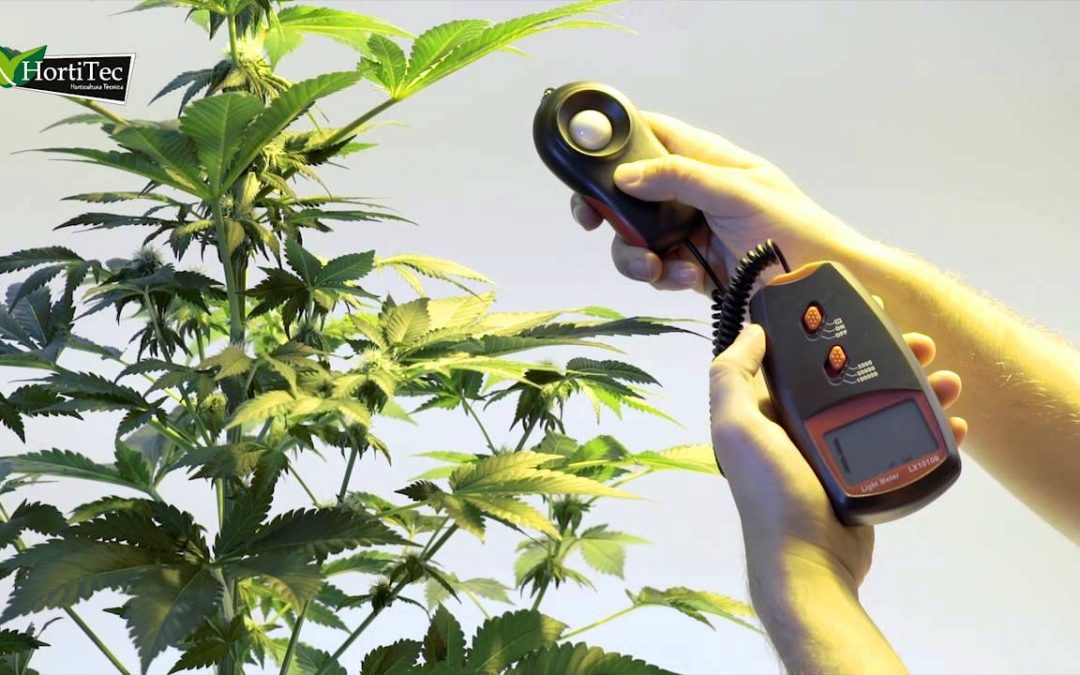 Como medir la luz que llega a mi planta