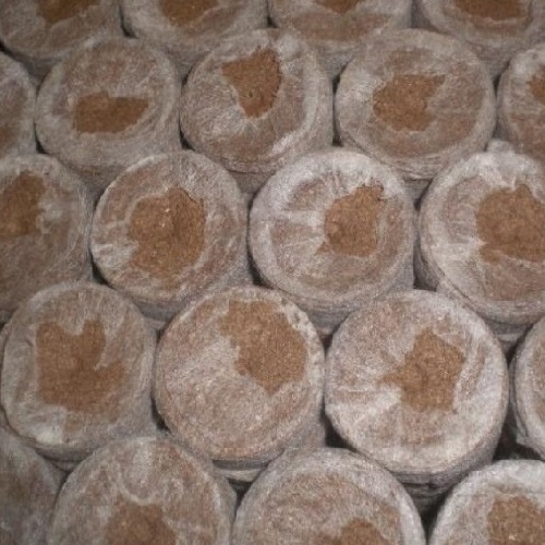 jiffy-turba-24mm-caja