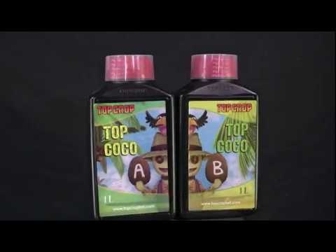 Top Coco A y B. Top Crop